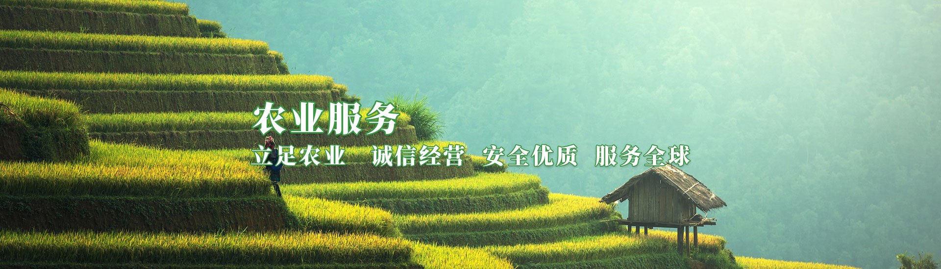 中国·永利yl23455(股份)有限公司-官方网站