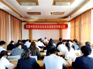 yl23455永利  召开党史学习教育专题向导