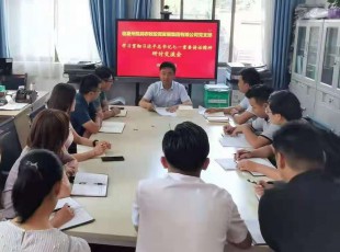 yl23455永利 召开学习贯彻习近平总书记七一主要讲话精神 钻研交流会
